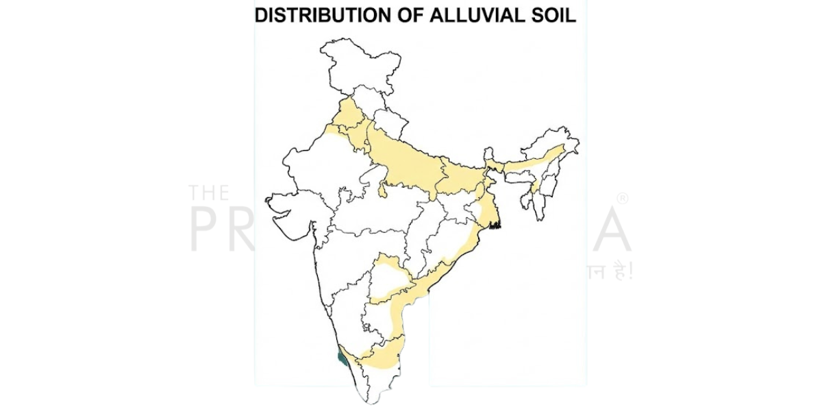 Types of Soil in India 2 Distribution of Alluvial Soil