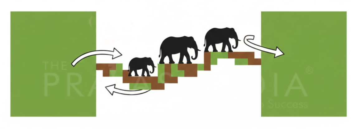 Elephant Corridor Concept