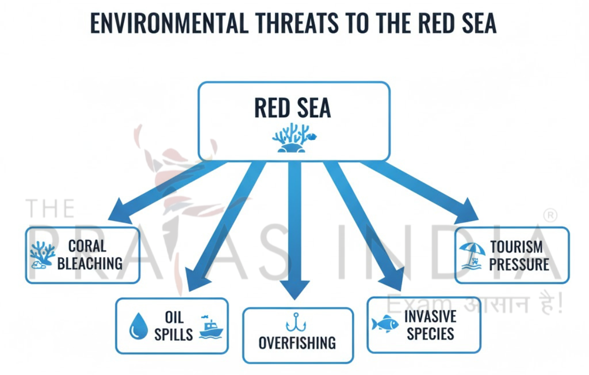 Environmental Threat to the Red Se