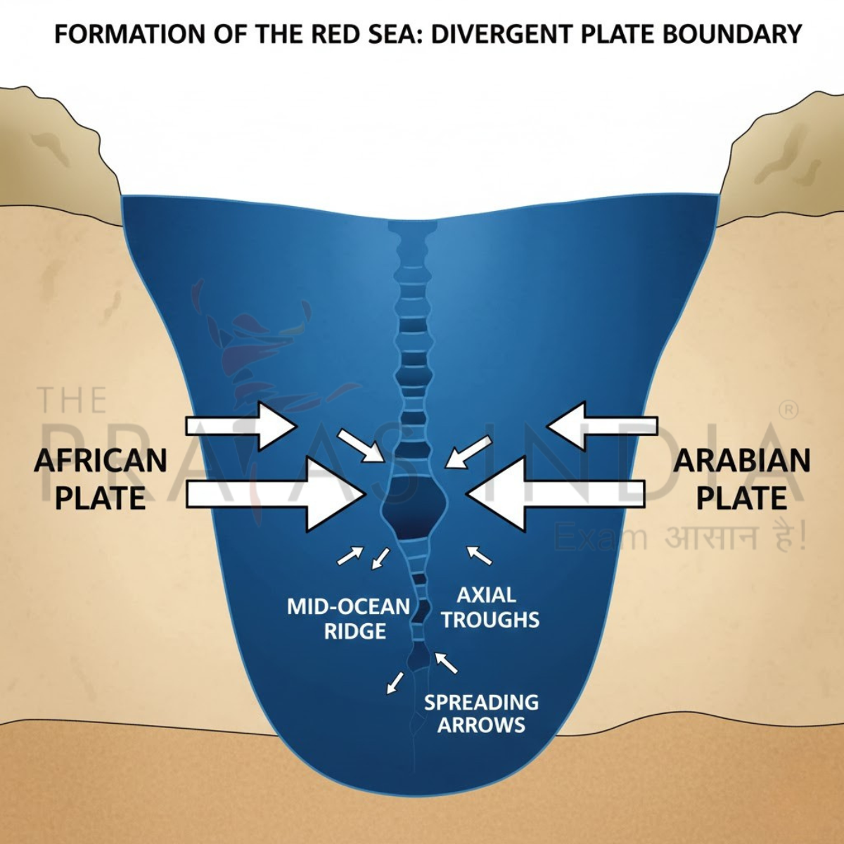 Formation of the Red Sea Divergent Plate Boundary