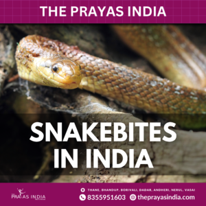 Snakebites in India