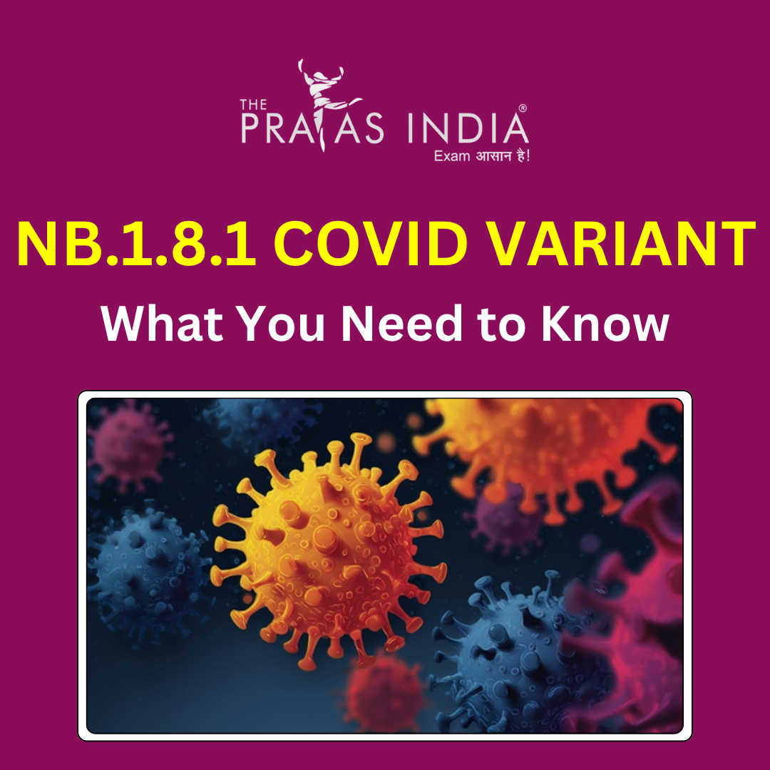 Understanding the NB.1.8.1 Covid Variant