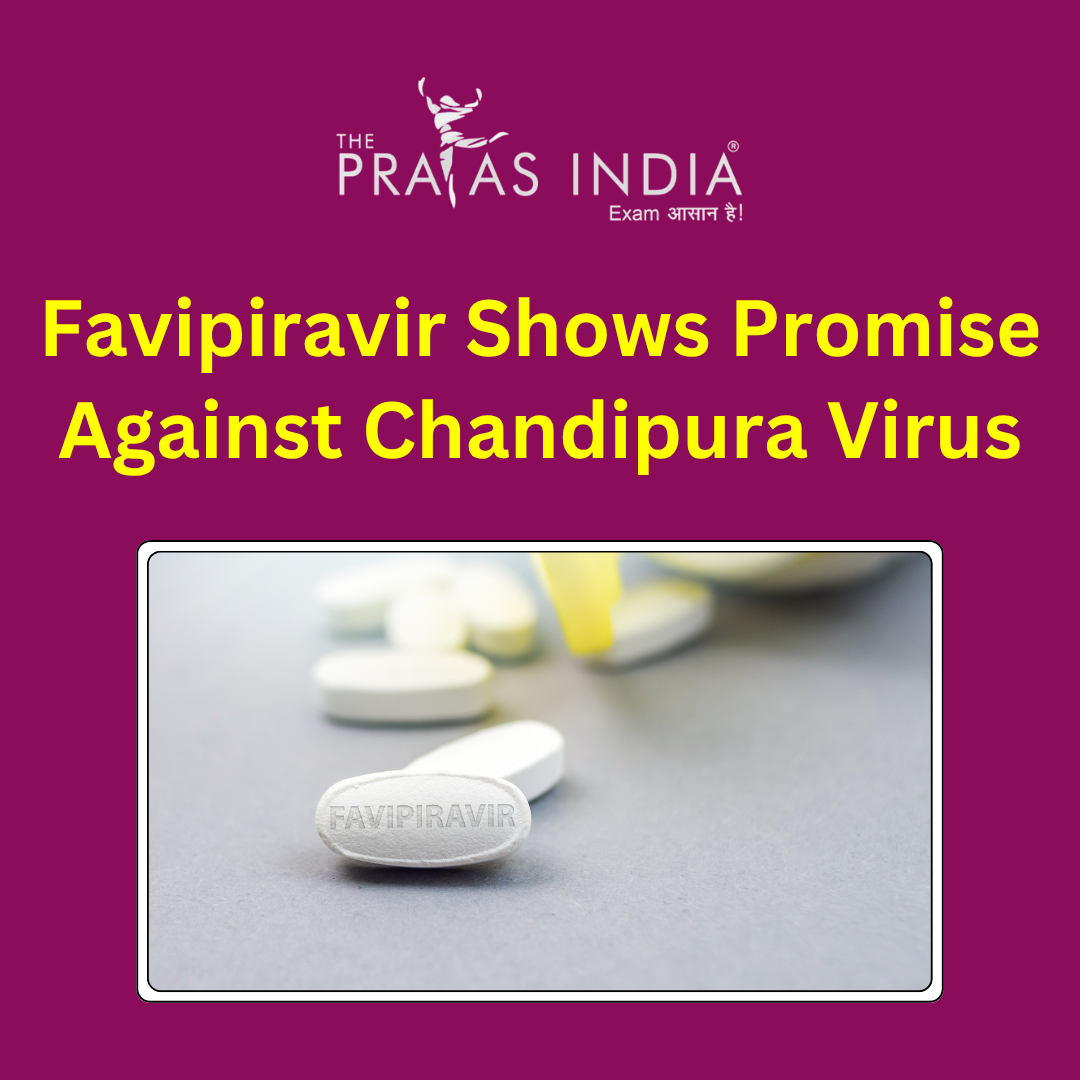 Favipiravir Shows Promise Against Chandipura Virus