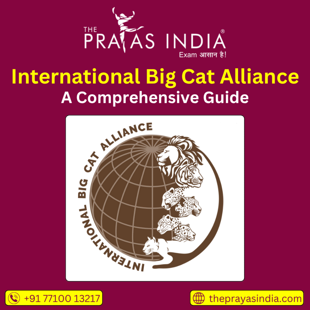 International Big Cat Alliance
