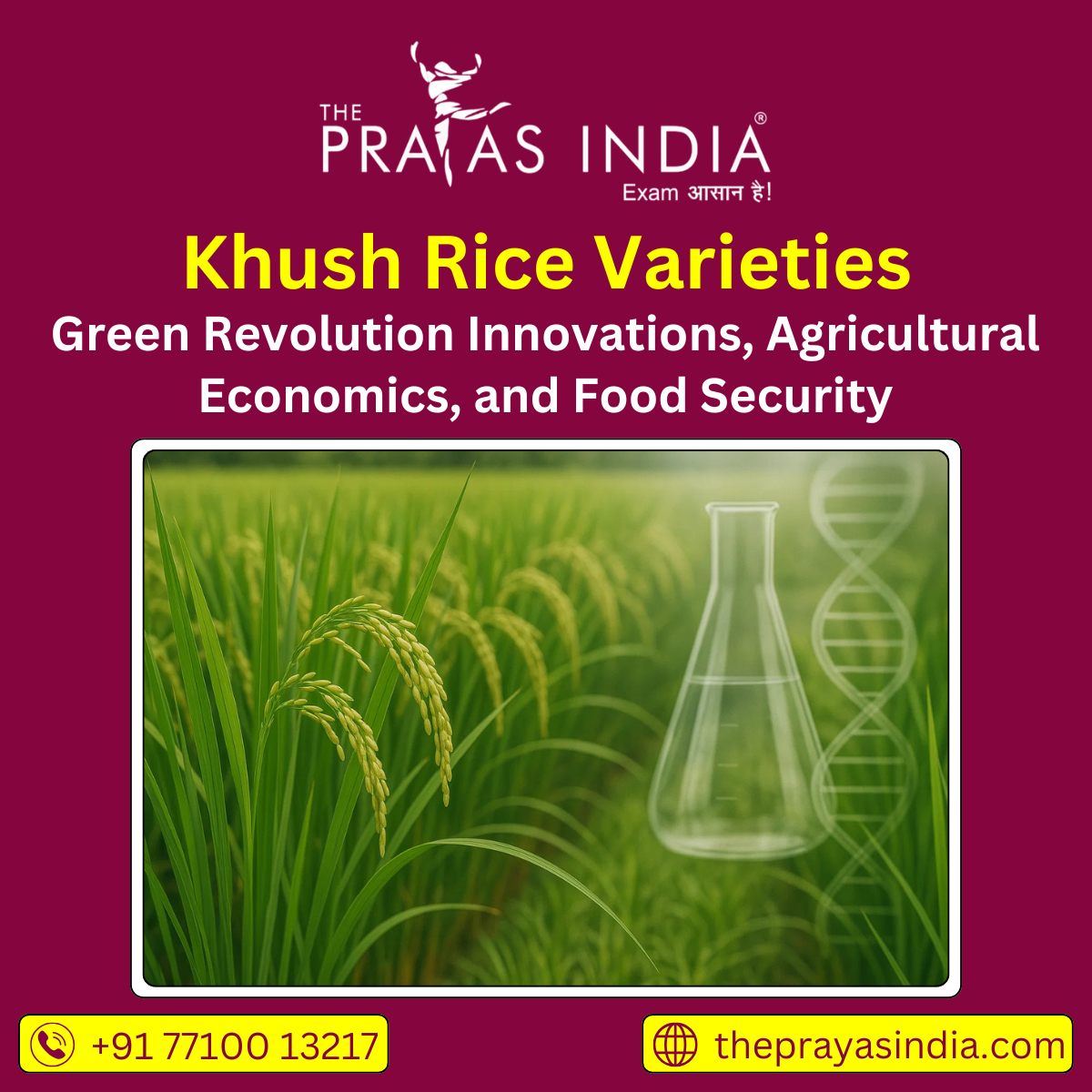 Khas Rice Khush Rice Varieties - The Prayas India