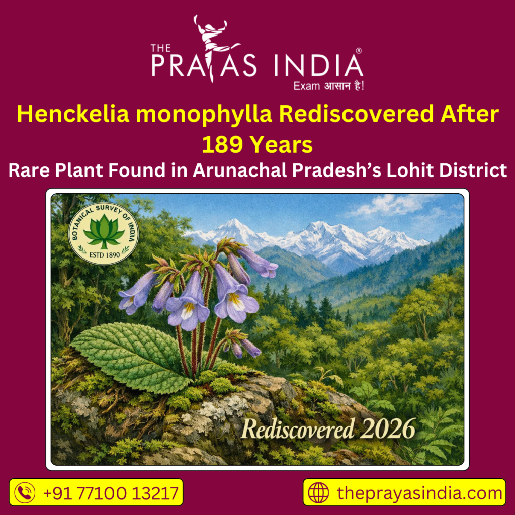 Henckelia monophylla Rediscovered After 189 Years