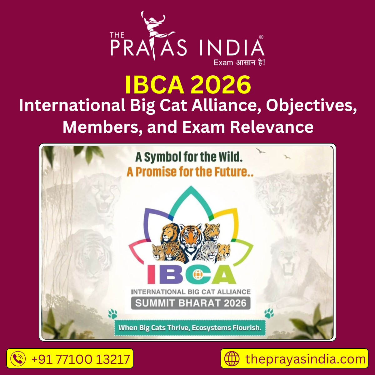 IBCA 2026